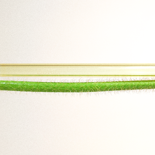 DorisHomeware_Single Butter2