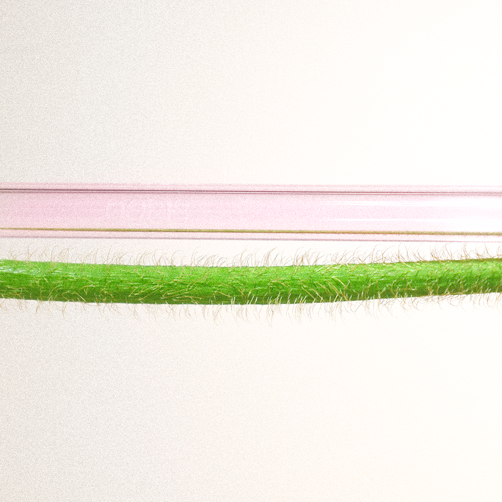 Fruit Salad Bundle - Set of 10