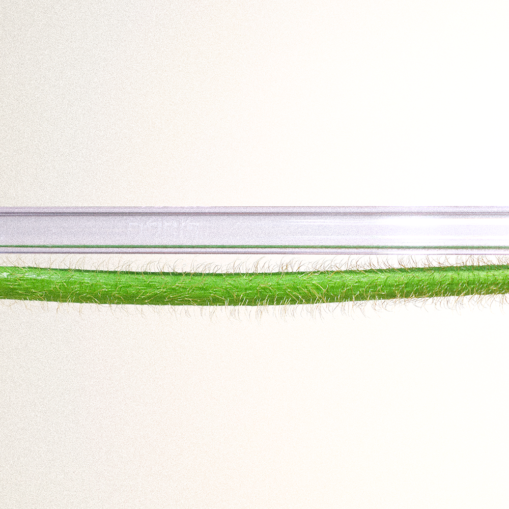 Fruit Salad Bundle - Set of 10