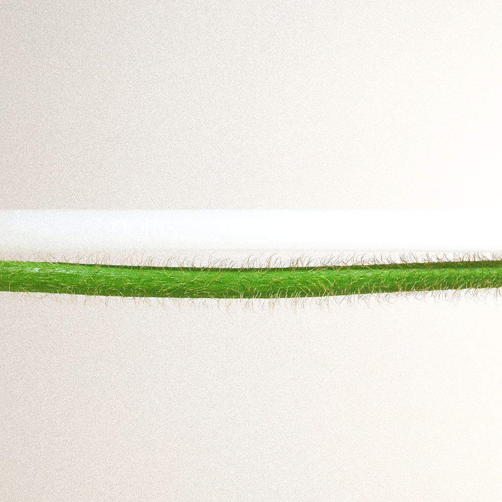 Fruit Salad Bundle - Set of 10