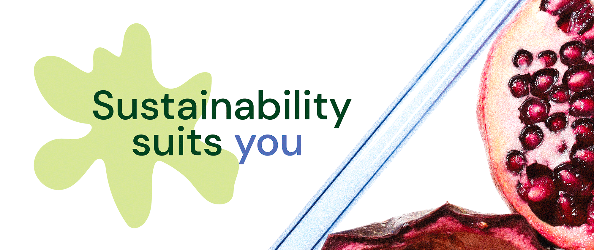 Sustainability Suits You